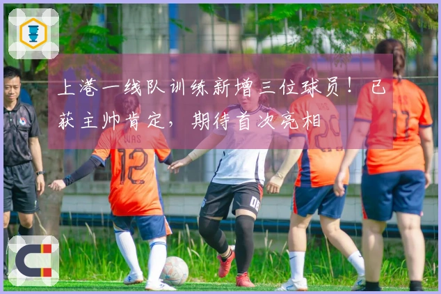 上港一线队训练新增三位球员！已获主帅肯定，期待首次亮相