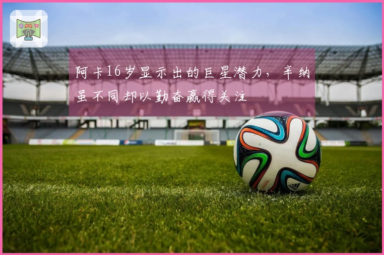 阿卡16岁显示出的巨星潜力，辛纳虽不同却以勤奋赢得关注